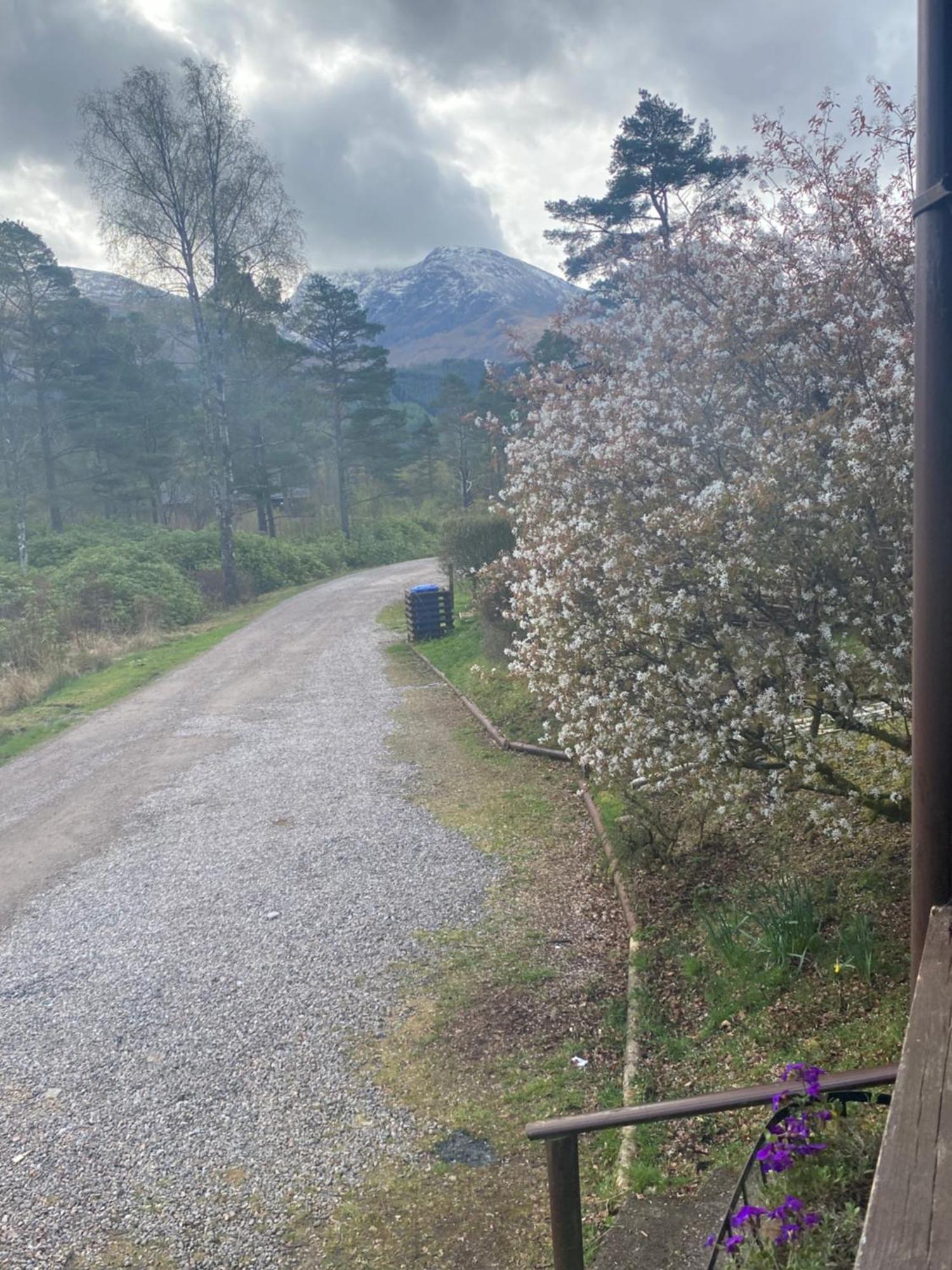 Kingswood Lodges Fort William Luaran gambar